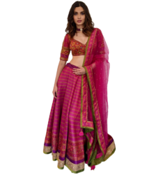 diana penty pink lehenga png 468