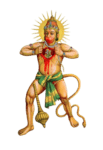 tradicional hanuman ji png photo showing siya ram picture in chest