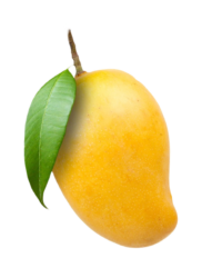 Mango png picture with leaf