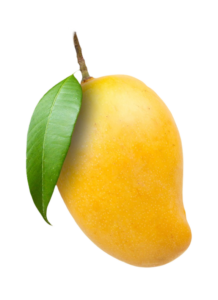 Mango png picture with leaf