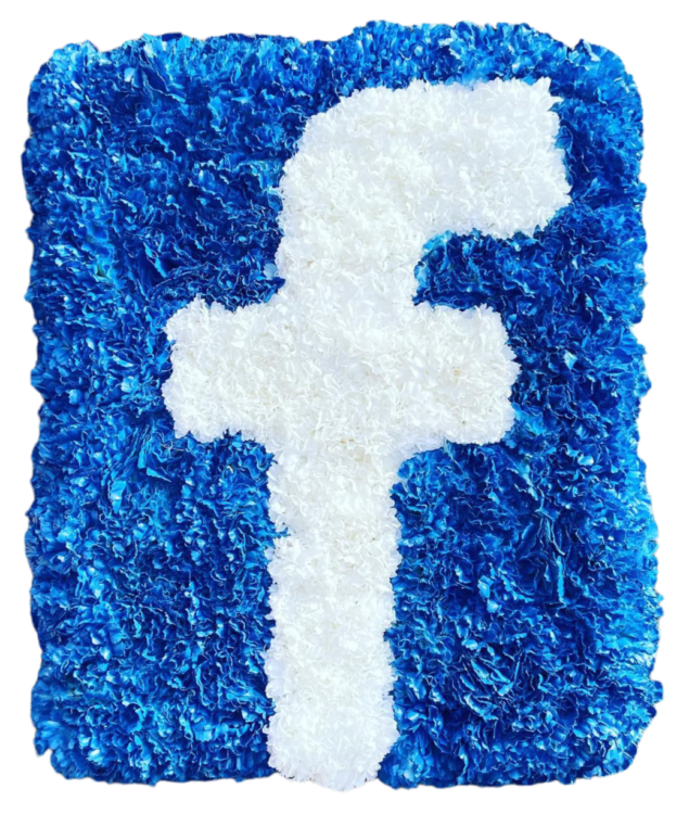 art facebook logo design image