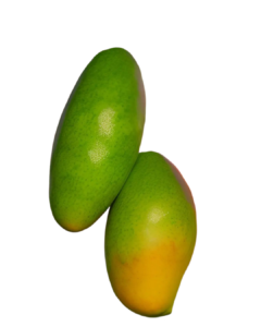 green mango png photo
