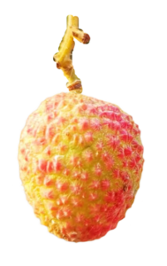 lichi png picture