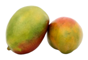 mango png cutout