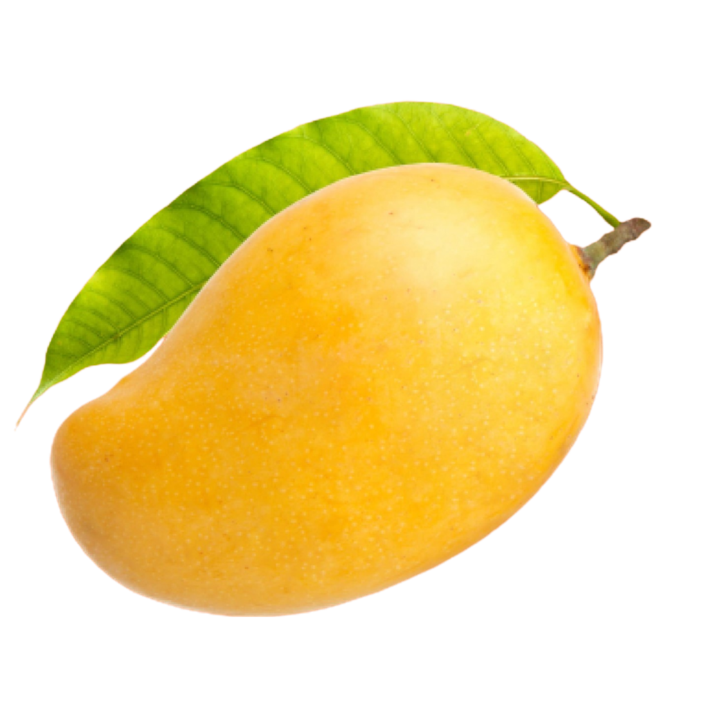 mango png image with leaf