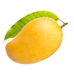 mango png image with leaf