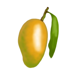 mango png image file with leaf