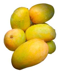 mango png transparent image