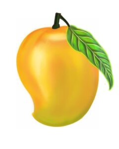 mango vector png image with leaf