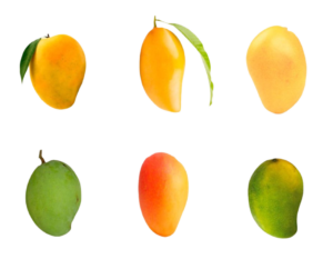 six type of mangos png image