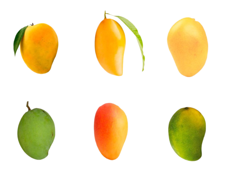 six type of mangos png image