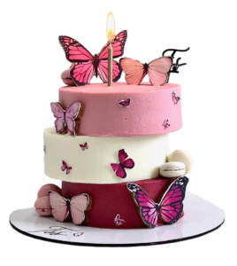 beautiful butterfly cake png image