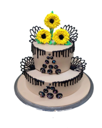 beautiful cake png image