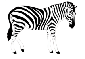 cartoon zebra png image