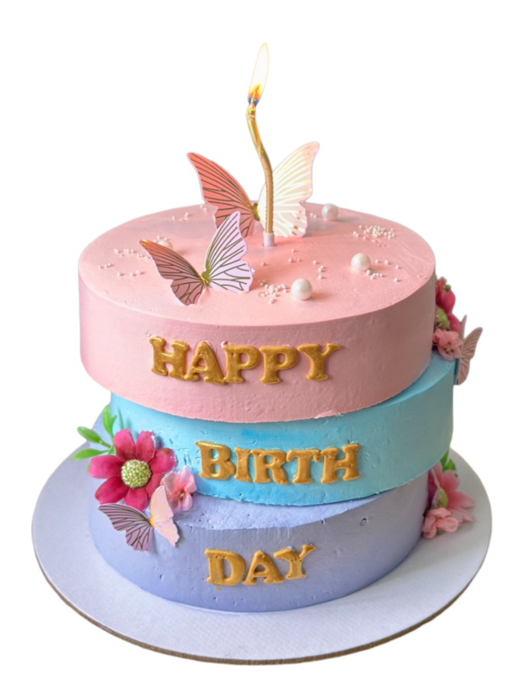 happy birthday cake png photo