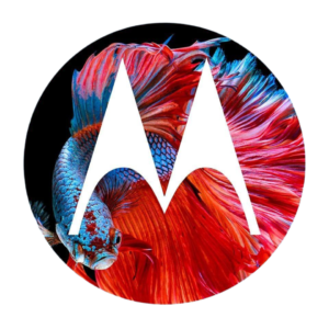 motorola logo png picture