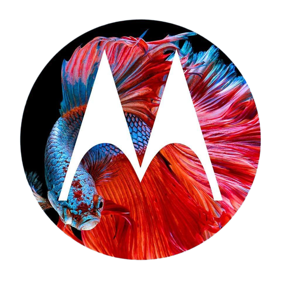 motorola-logo-picture