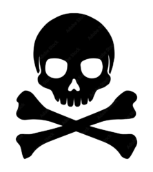 Skeleton warning png image