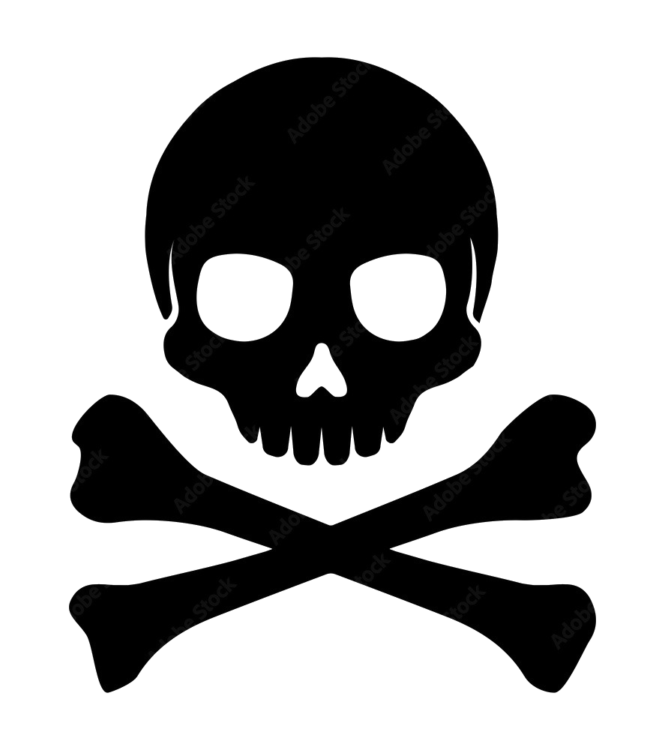 Skeleton warning png image