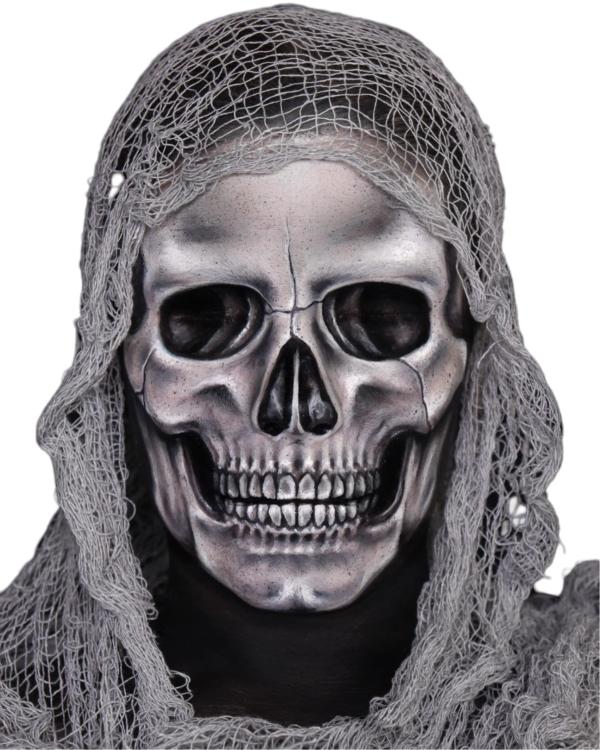 transparent skull png free download