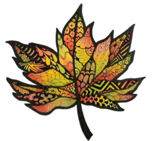 Beautiful Leaf PNG image free