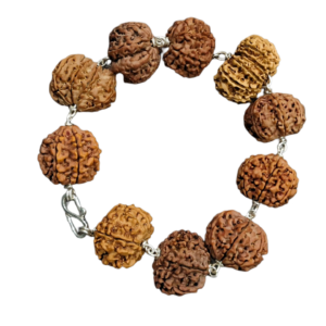 Bracelet Hand Rudraksha Png Image