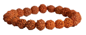 Bracelet Hand Rudraksha Png Image