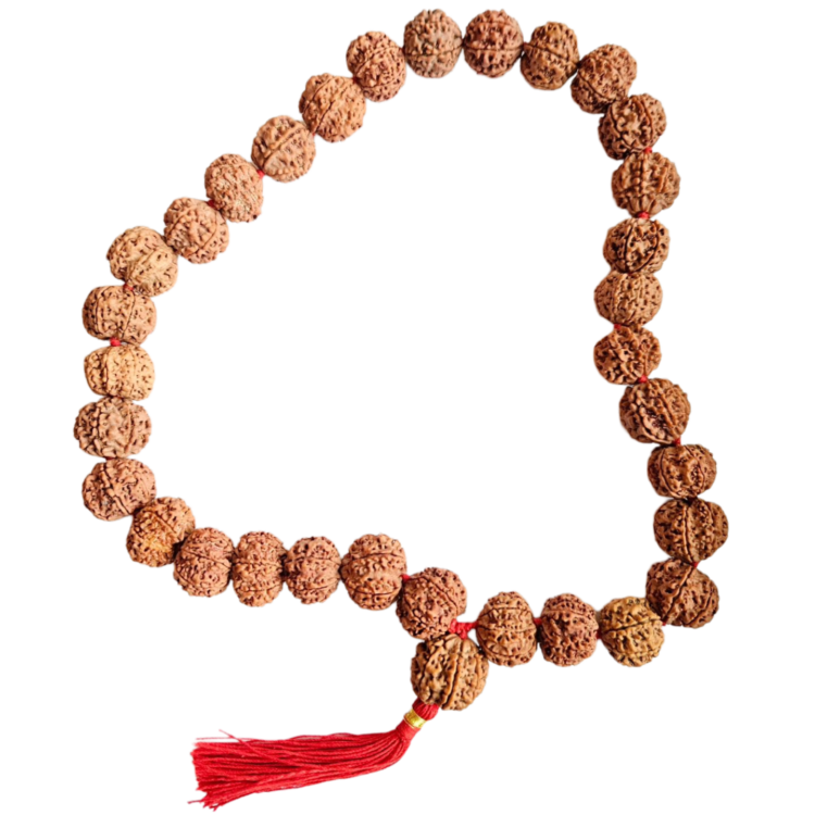 Mala Rudraksha Png Image