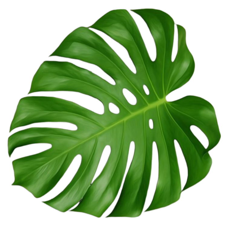 Monstera Leaf Png image