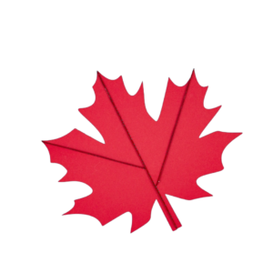 Red Maple Leaf Png photo