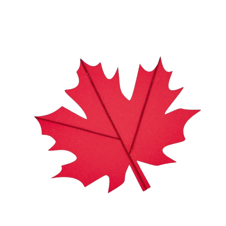 Red Maple Leaf Png photo