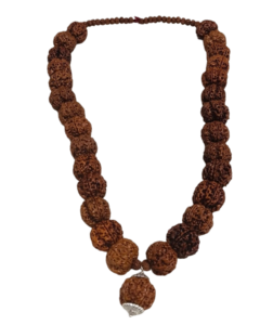 Hand Rudraksha Png HD Cutout.