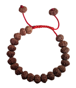 Rudraksha Png Transparent Photo