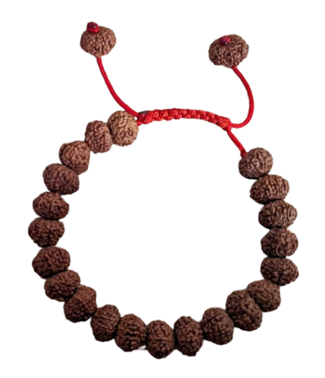 Rudraksha Png Transparent Photo