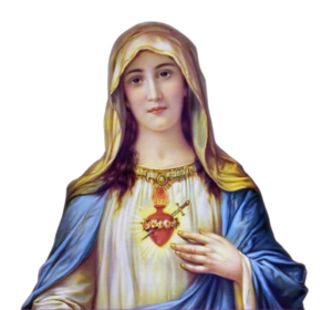 Blessed Mother Mary Png picture