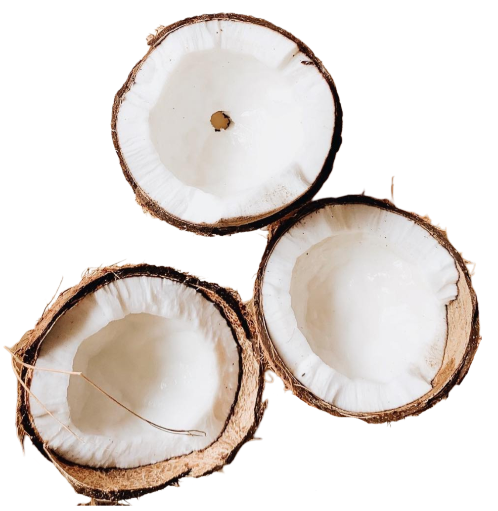 Coconut Category GalleryPng