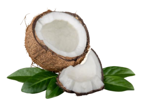 Coconut Png Transparent Image