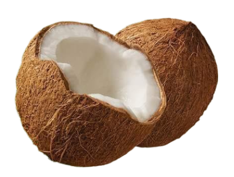 Coconut Png Transparent Photo