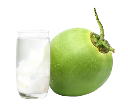 Coconut Water Png Photo