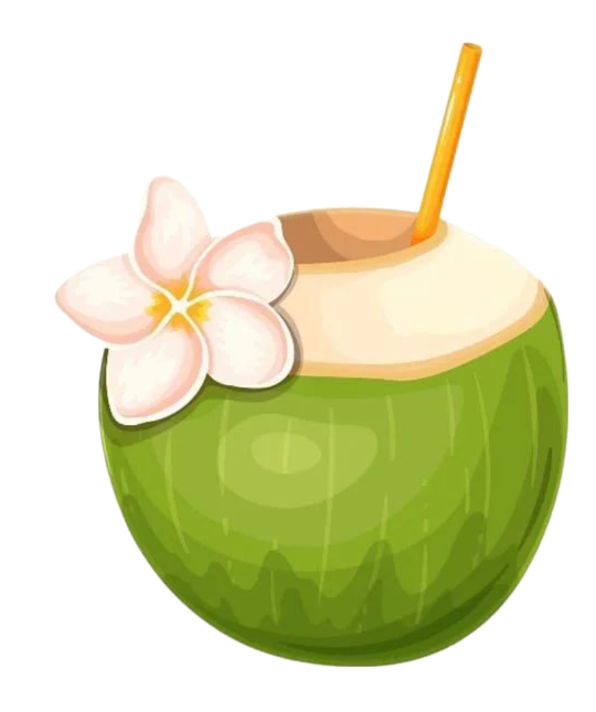 Green Coconut Png Photo Free