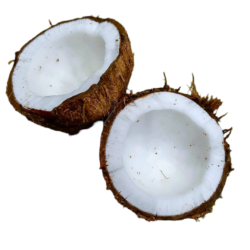 Half Coconut Png Photo Free