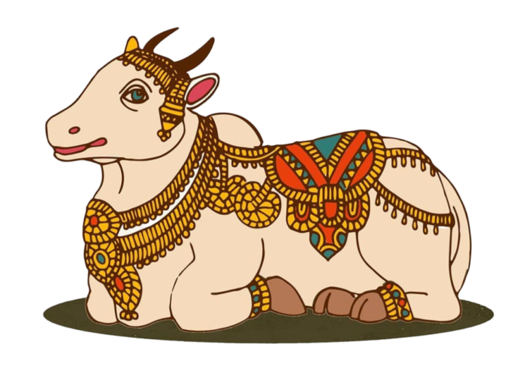 Indian Cow Png Cartoon Image