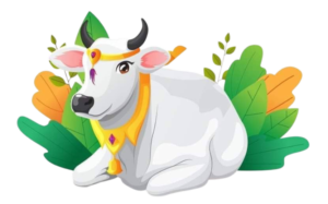 Indian Cow Png Photo Free