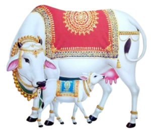 Indian Cow Png Picture Free