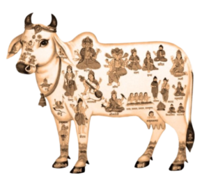 Krishna Cow Png Image