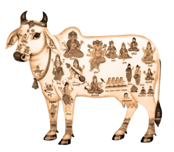 Krishna Cow Png Image