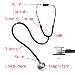 Stethoscope Doctor Png Image Fee also given parts name