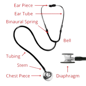 Stethoscope Doctor Png Image Fee also given parts name