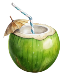 Tender Coconut Png Image