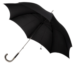 Black Umbrella Png Image Free